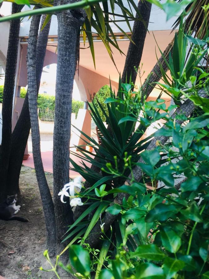Ari B&B Montesilvano Marina Εξωτερικό φωτογραφία
